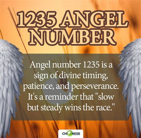 1235 angel number twin flame|Angel Number 1235 Meaning: Love, Twin Flame Reunion, and Luck